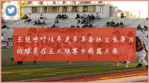 王楚呼吁培养更多具备独立竞争力的球员在五大联赛中崭露头角