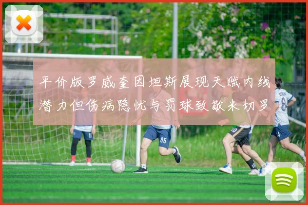 平价版罗威奎因坦斯展现天赋内线潜力但伤病隐忧与罚球致敬米切罗