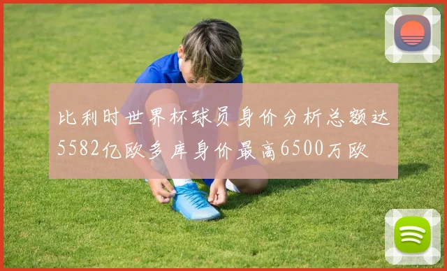 比利时世界杯球员身价分析总额达5582亿欧多库身价最高6500万欧