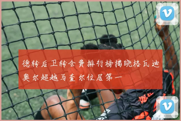 德转后卫转会费排行榜揭晓格瓦迪奥尔超越马奎尔位居第一