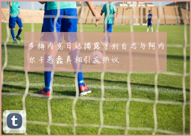 多梅内克日记揭露亨利自恋与阿内尔卡愚蠢真相引发热议